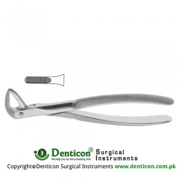English Pattern Tooth Extracting Forcep Fig. 74 (For Lower Anteriors and Roots) Stainless Steel, Standard